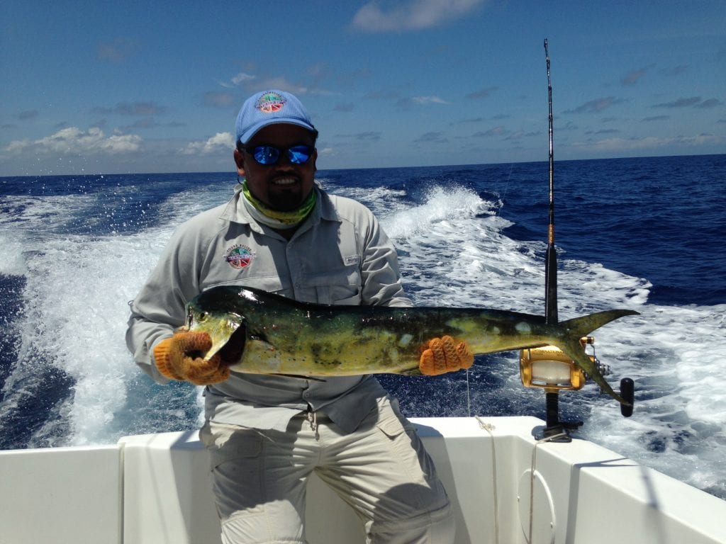 caye caulker reef tours