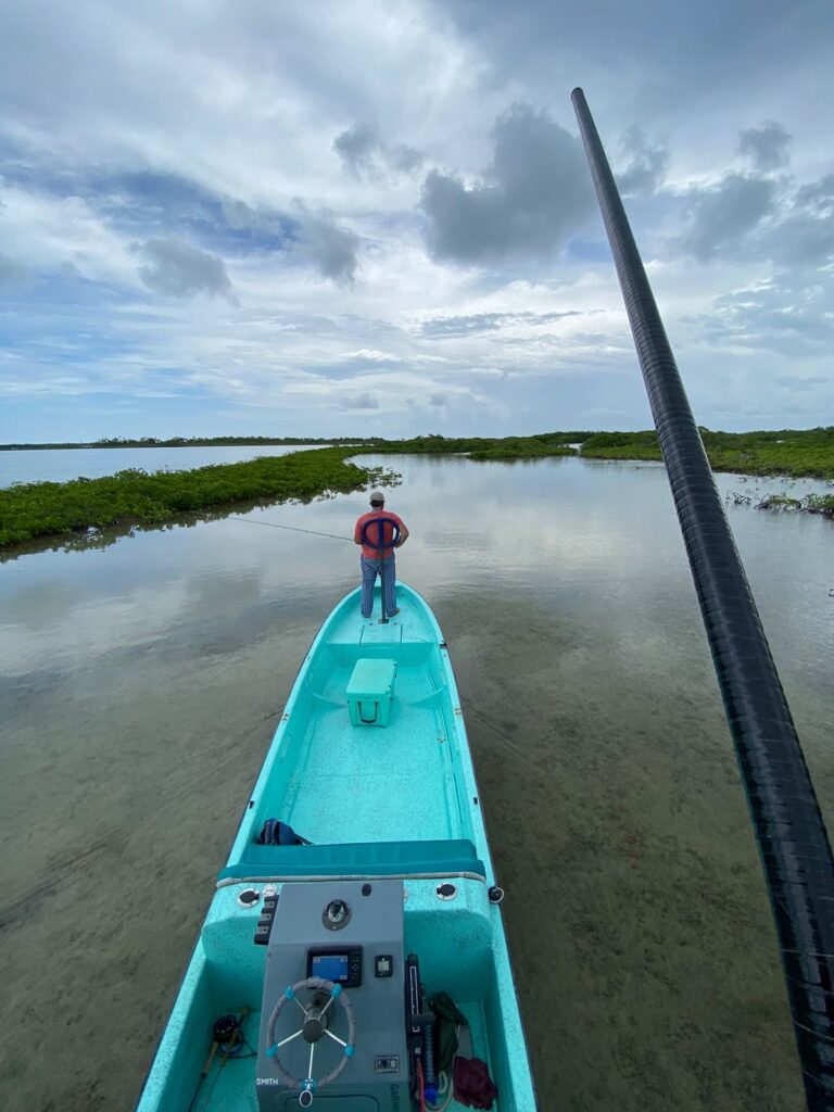 caye caulker reef tours