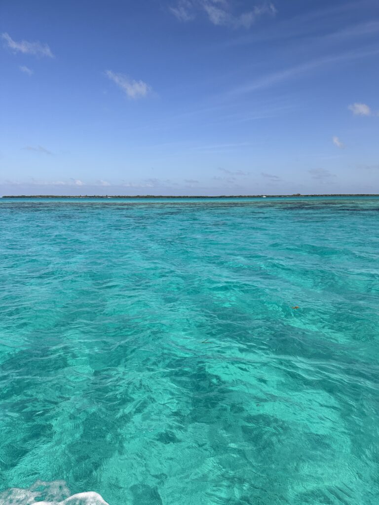 caye caulker reef tours