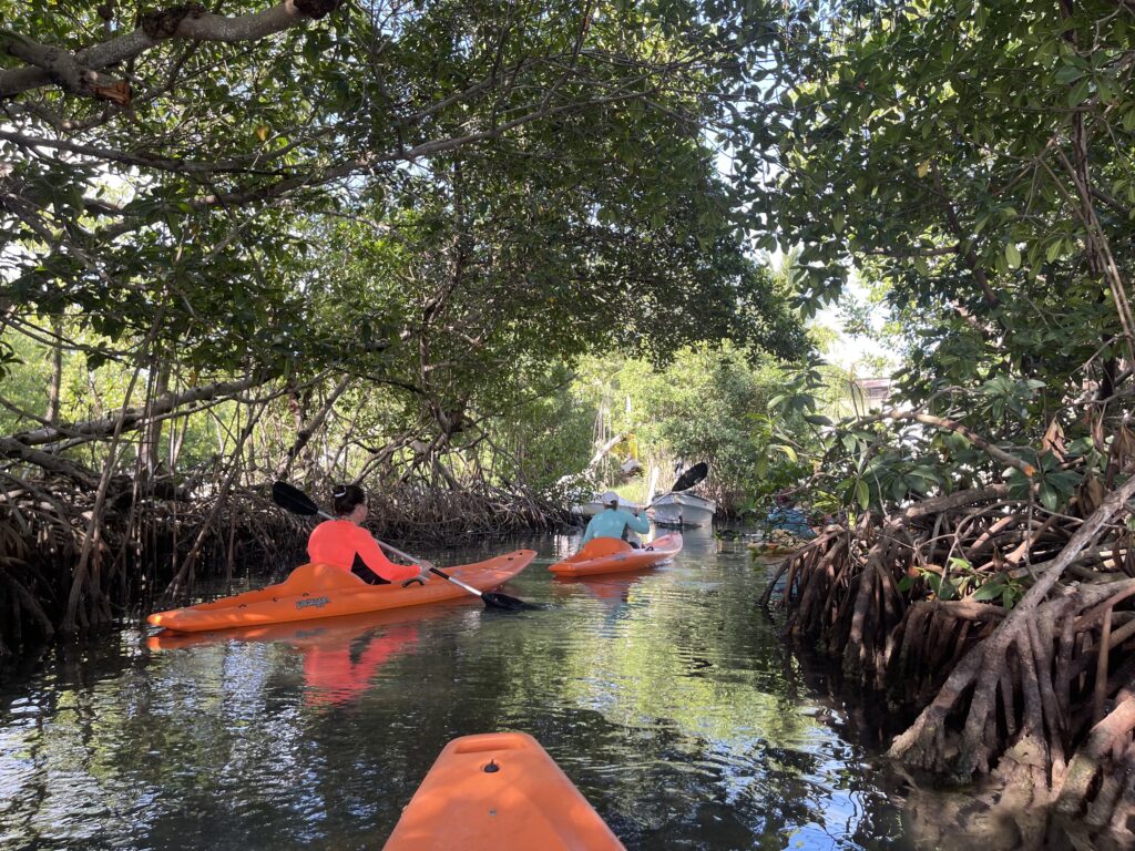 caye caulker reef tours